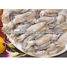 Calamars de fruits de mer